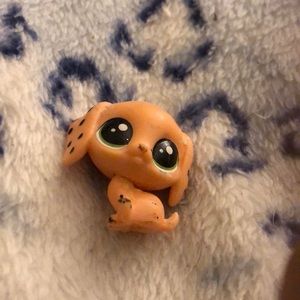 Baby orange LPS with green eyes